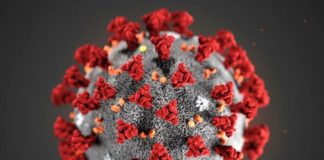 Coronavirus, a Malta 330 mila dosi per sperimentazione vaccino