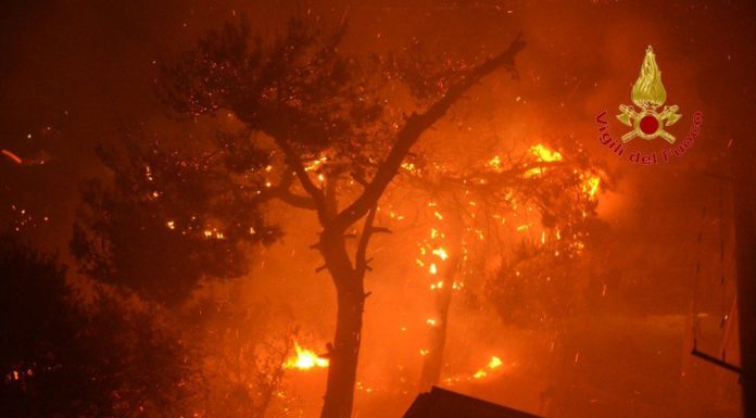 Incendio alle porte di Palermo, in 400 in fuga dalle case