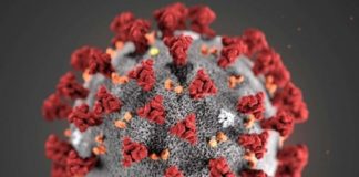 Coronavirus, Crisanti “Non credo nel vaccino entro fine anno”