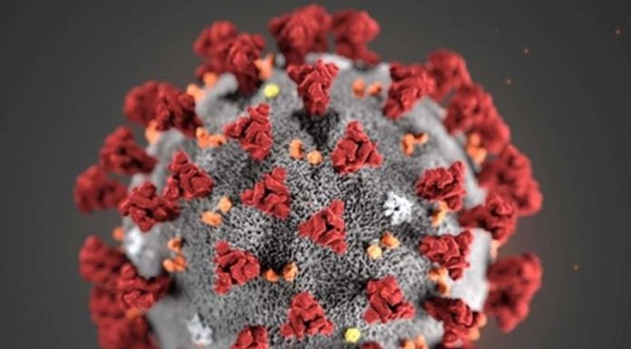 Coronavirus, Crisanti “Non credo nel vaccino entro fine anno”