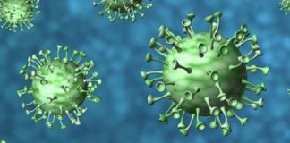 Coronavirus, in Sardegna 39 nuovi casi positivi