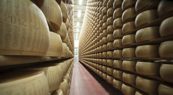 Il Consorzio Parmigiano Reggiano alla Fiera Millenaria di Gonzaga