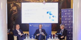 Le multiutility fattore chiave per lo sviluppo