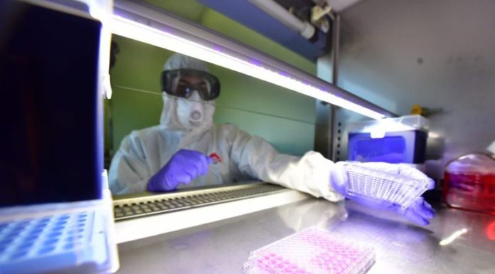 Coronavirus, 1.370 nuovi casi e 10 decessi nelle ultime 24 ore