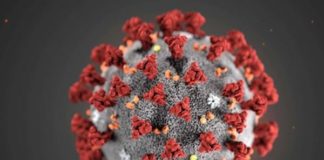 Liguria, nelle ultime 24 ore 112 nuovi casi di Coronavirus