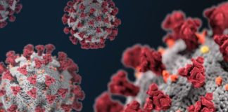 Coronavirus, in Calabria 4 contagi in più