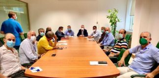 Regione Calabria punta su apicoltura,Gallo incontra associazioni settore