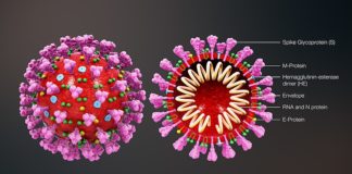 In Toscana 119 nuovi casi di Coronavirus, morta una donna ad Arezzo