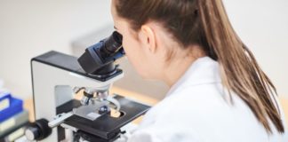 Veneto, Regione sigla intesa per promuovere raccolta cellule staminali