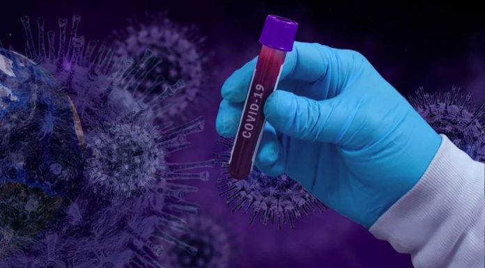 Coronavirus, 1.638 nuovi casi in Italia e 24 decessi