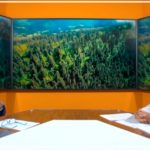 Diamanti (Conaf) “Serve una legge quadro sul consumo del suolo”