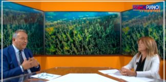 Diamanti (Conaf) “Serve una legge quadro sul consumo del suolo”