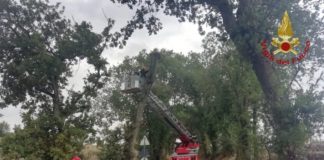 Maltempo, oltre mille interventi dei vigili del fuoco in tutta Italia