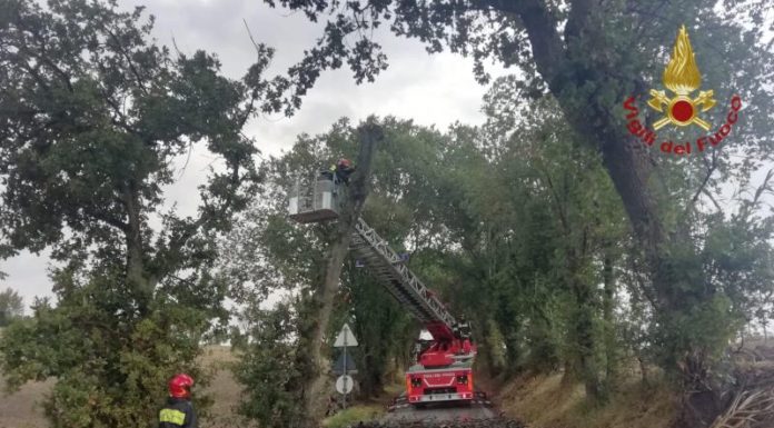 Maltempo, oltre mille interventi dei vigili del fuoco in tutta Italia