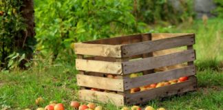 Accordo FederlegnoArredo e Federbio per imballaggi bio