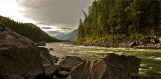 In Italia solo il 40% dei corsi d’acqua è in buono stato