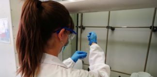 Mibact e Novartis per programma valorizzazione cultura scientifica