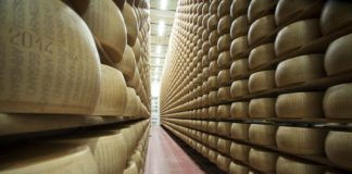 Torna Caseifici Aperti alla scoperta del Parmigiano Reggiano