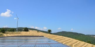 Dal 2021 rivoluzione, Bonus sociali automatici