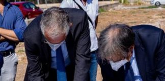 Palermo, trenta alberi per riqualificare lo Zen 2