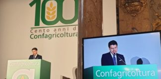 Recovery Fund, Conte “Sarà motore della crescita”