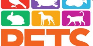 PetStore Conad sostiene il Pet Carpet Film Festival a Roma