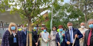 Festa Alberi Scuole, celebrata ricorrenza all’Istituto “Sereni” di Roma