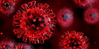 Registrati in Sardegna 60 nuovi casi di Coronavirus, nessun decesso