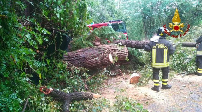 Fiumi esondati in Valle d’Aosta, Vvf volontario muore per crollo albero