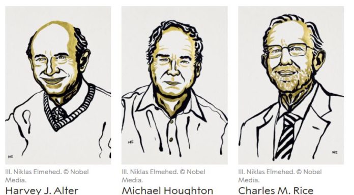 Il Nobel per la Medicina a tre virologi per studi sull’Epatite C