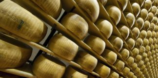 Parmigiano Reggiano, oltre 5 mila visitatori per “Caseifici Aperti”