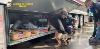 Sequestrati al porto di Napoli 130 kg di hashish, due arresti