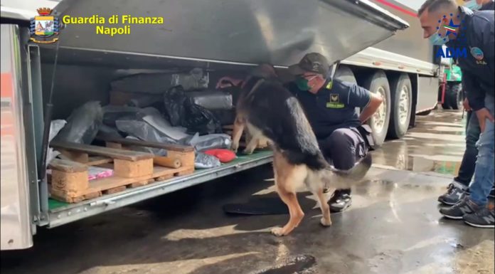 Sequestrati al porto di Napoli 130 kg di hashish, due arresti