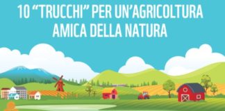 Agricoltura, per Wwf al top tra le cause di perdita di natura in Europa