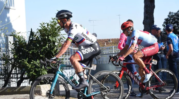 Sagan vince in solitaria la 10a tappa del Giro, Almeida sempre rosa