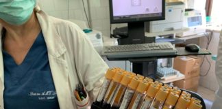 In Puglia 315 nuovi positivi al Covid, 169 in provincia di Bari