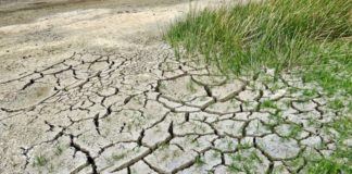 Clima, 2020 è anno più caldo di sempre in Europa