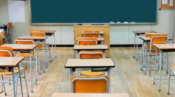 Educazione civica a scuola, corso online gratuito