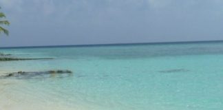 Best practice per la tutela del mare, Pecoraro Scanio “Polmone pianeta”