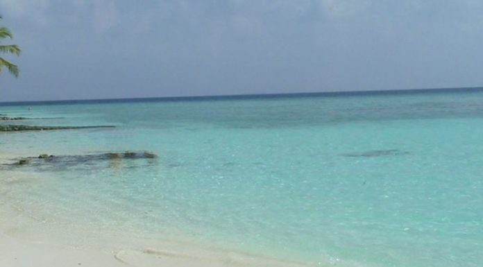 Best practice per la tutela del mare, Pecoraro Scanio “Polmone pianeta”