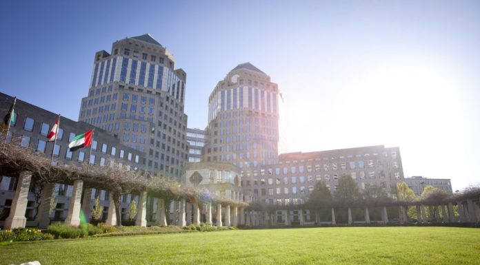 Procter&Gamble, il futuro è green