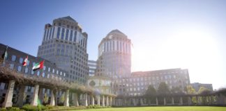 Procter&Gamble, il futuro è green