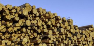 Federlegnoarredo, filiera al top in Europa per sostenibilità