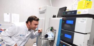 Cervelli al Sud, da Monaco a Palermo per lo studio dell’artrosi