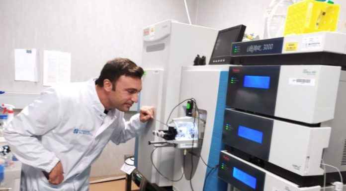 Cervelli al Sud, da Monaco a Palermo per lo studio dell’artrosi