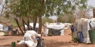 Nobel per la pace al World Food Programme