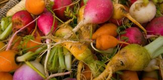 Emilia Romagna, il lockdown tedesco costa 584 mln di export alimentare