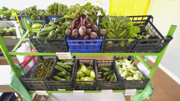 AZIENDA AGRICOLA BIOLOGICA. MERCATINO DI PRODOTTI BIO