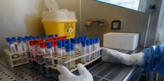 Tumori, primo report in Italia sulle terapie CAR-T