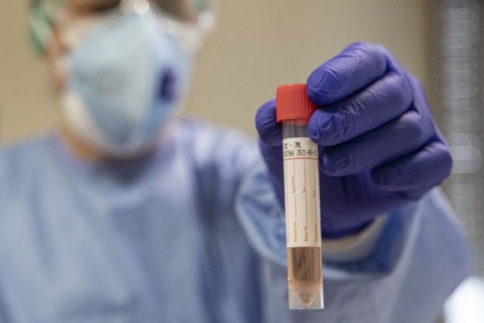 EMERGENZA CORONAVIRUS CREMONA